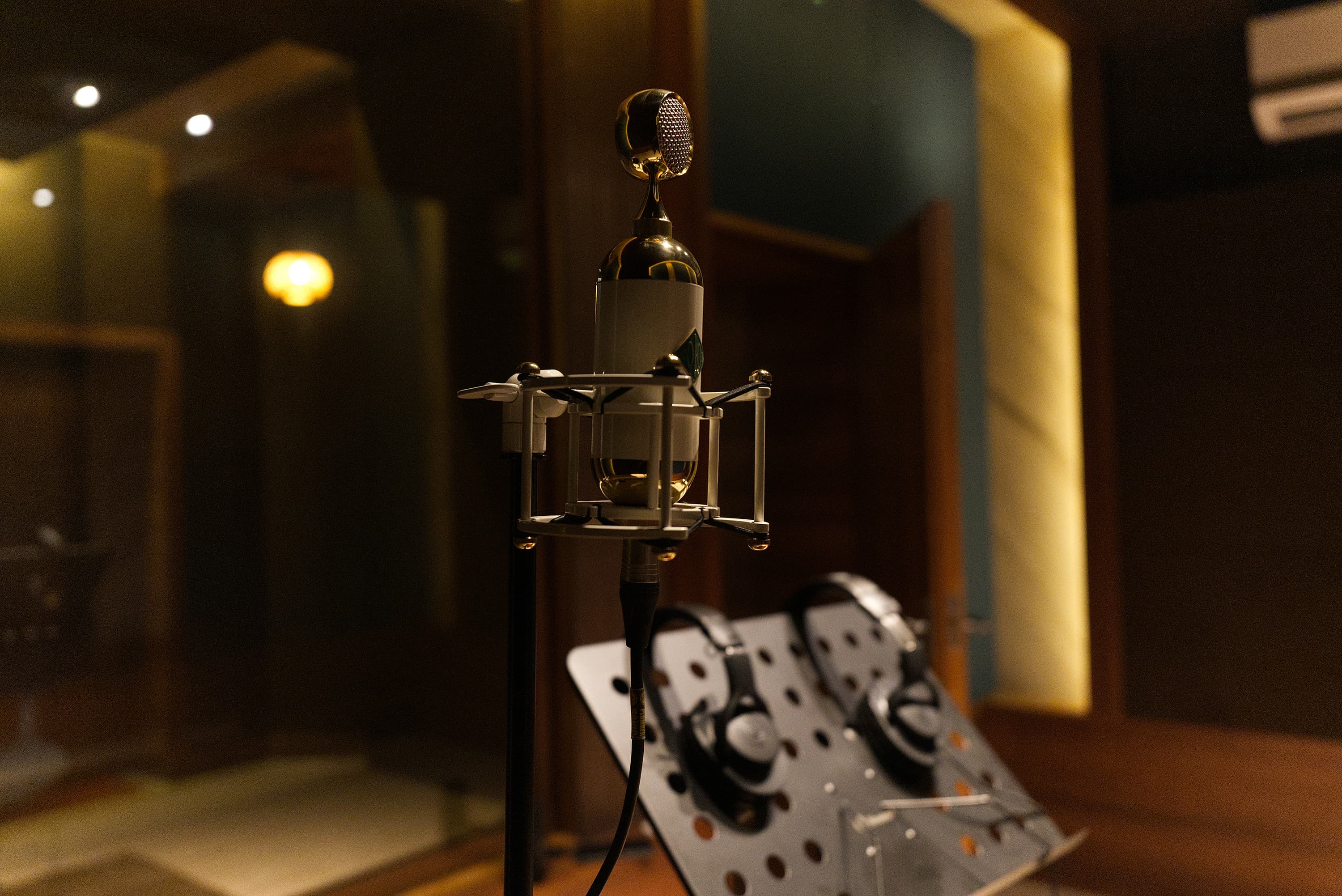 Condenser microphone in shockmount at Abylon recording studio, Kerala