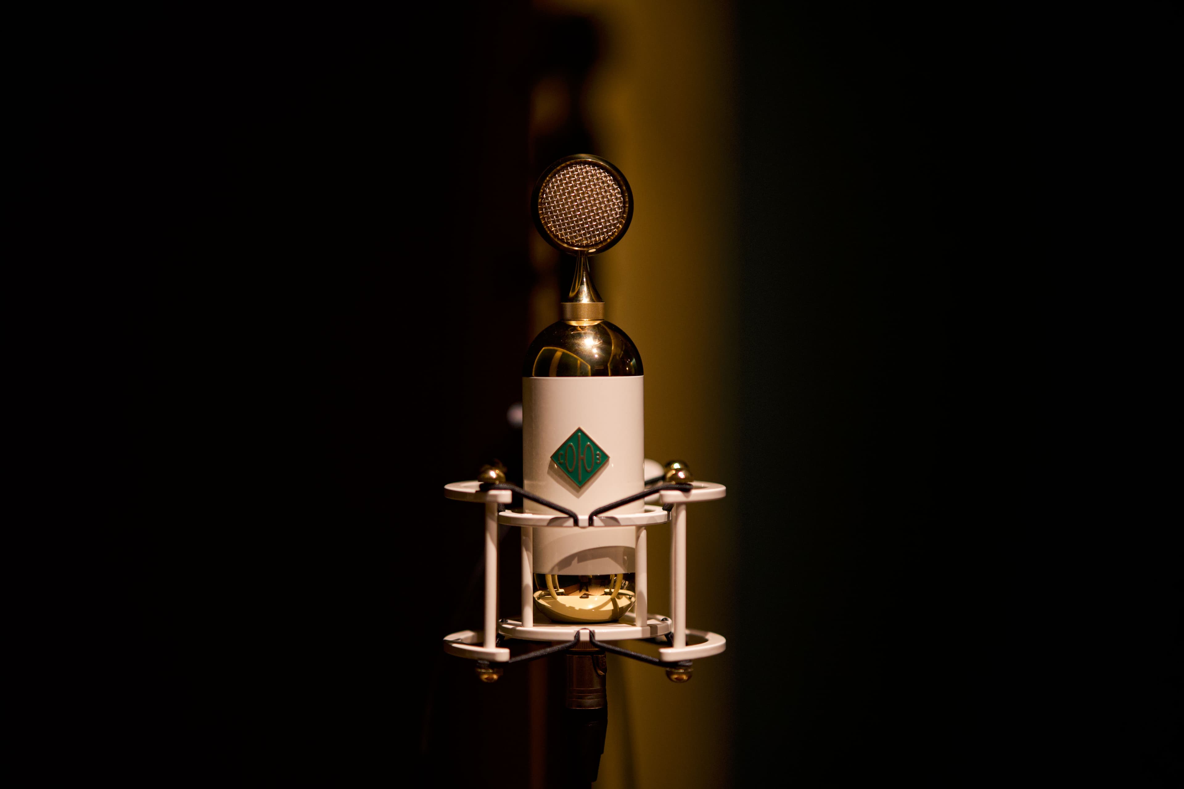 Close-up of a studio condenser microphone at Abylon, Kerala